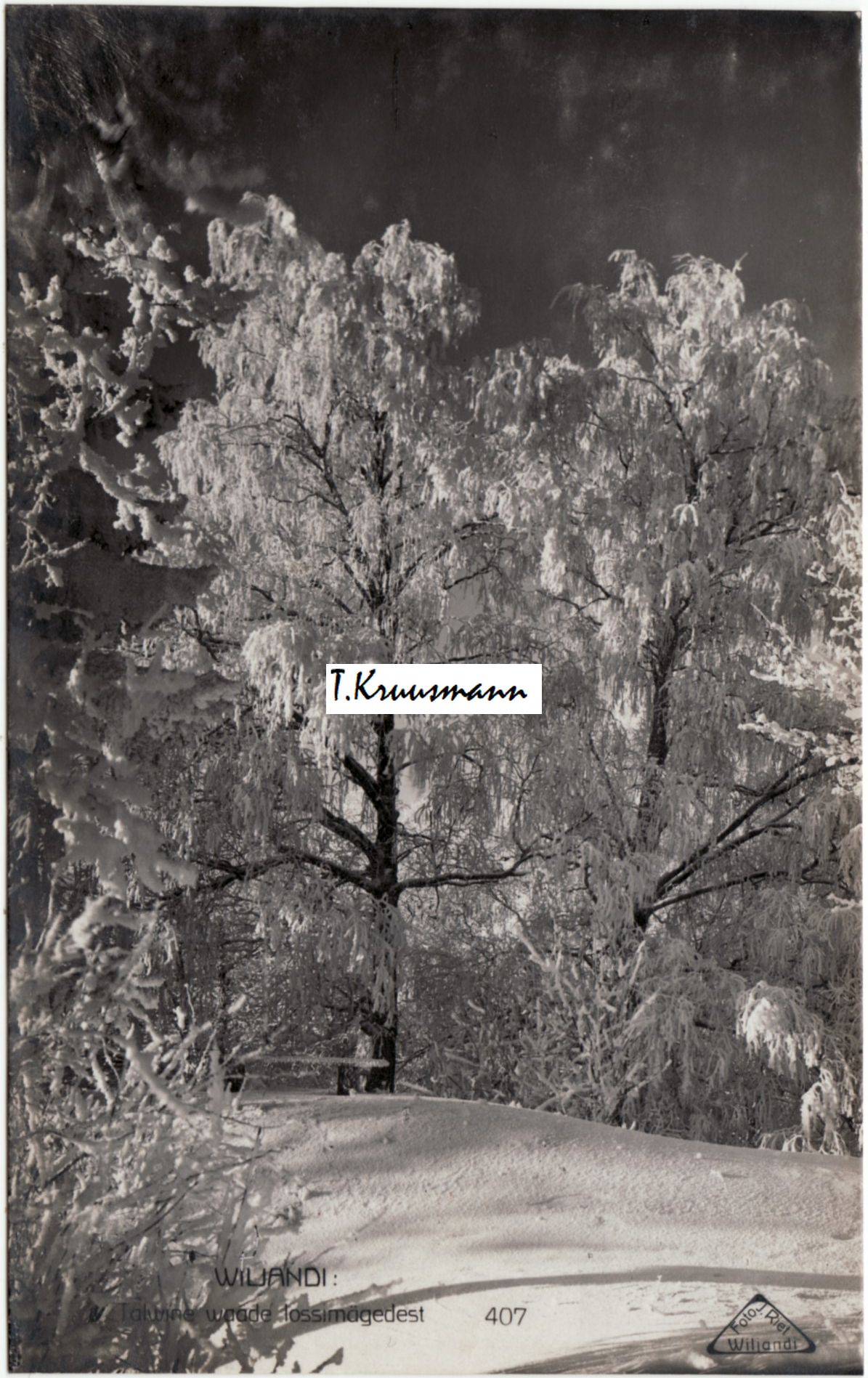 407_Talwine_waade_lossimägedest