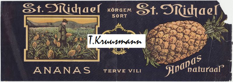 A_AlexKakit_Tallinn_St_Michael_Ananas