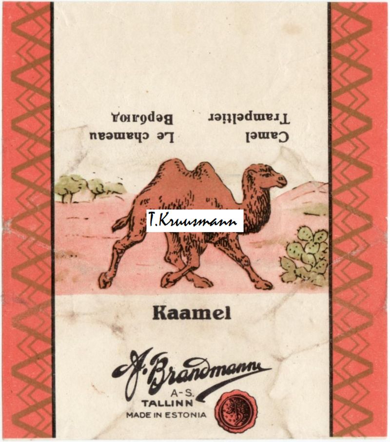 A_Brandmann_Tallinn_Kaamel