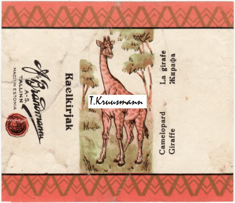 A_Brandmann_Tallinn_Kaelkirjak