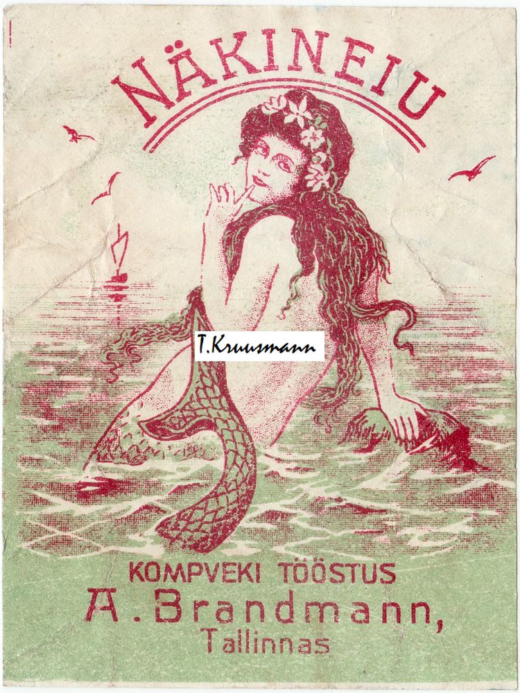 A_Brandmann_Tallinnas_Näkineiu