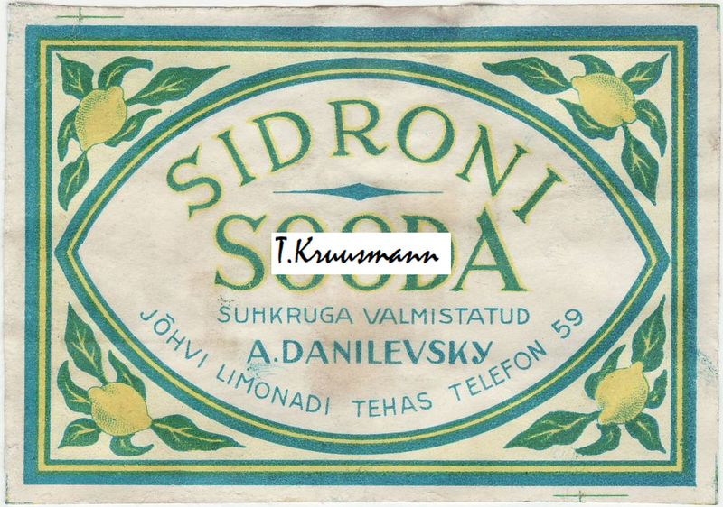 A_Danilevsky_Jõhvi_Sidroni_Sooda