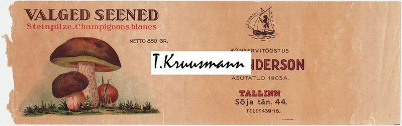 A_M_Anderson_Tallinn_Valged_seened