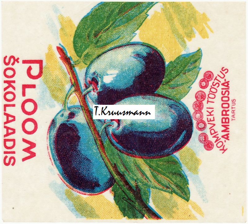 Ambroosia_Tartus_Ploom_Šokolaadis