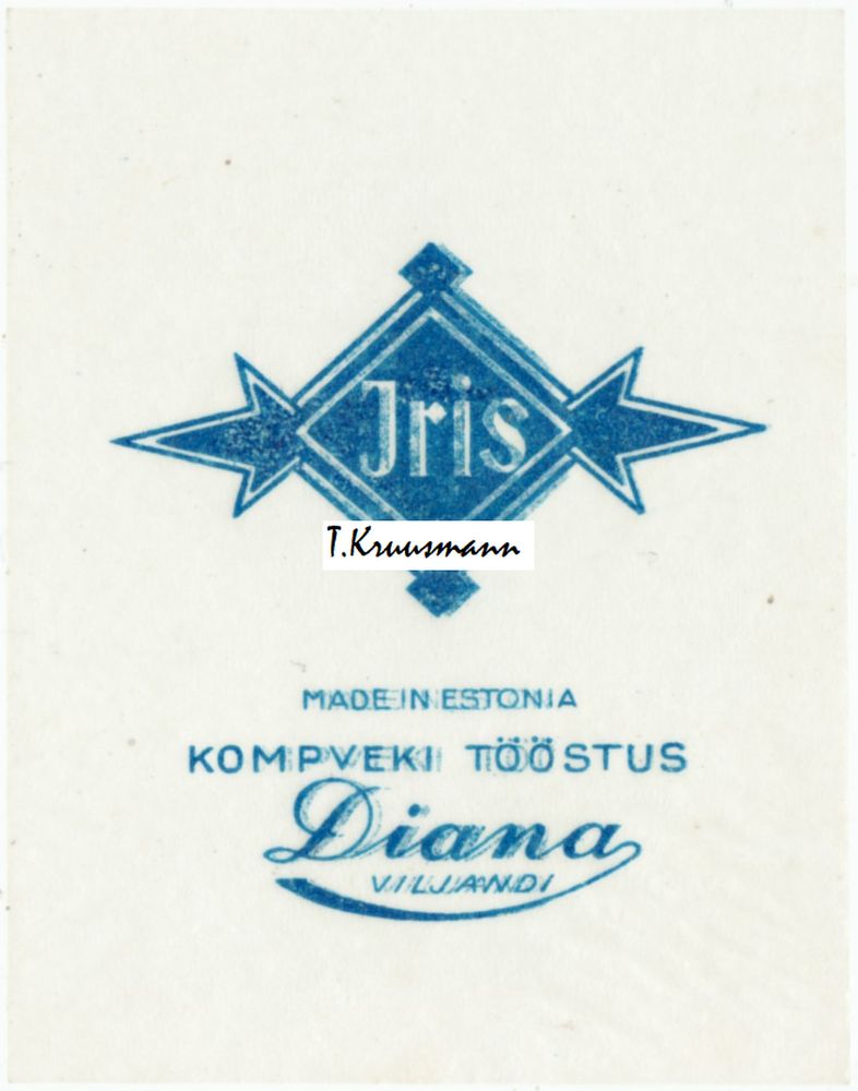 Diana_Viljandi_Iris_sinine