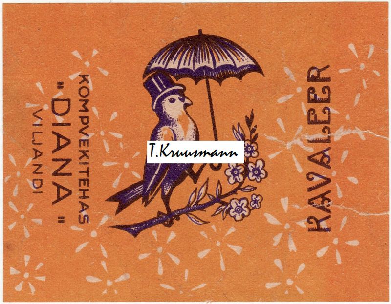 Diana_Viljandi_Kavaleer_kollakas