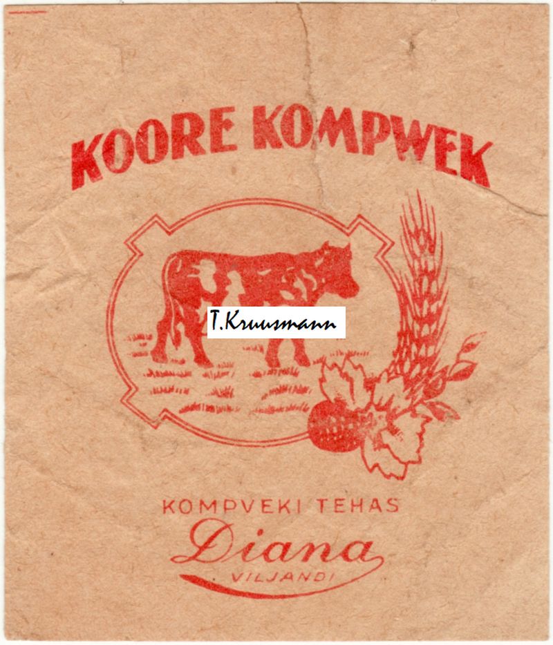 Diana_Viljandi_Koore_kompwek