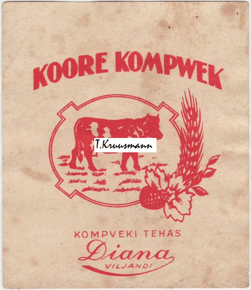 Diana_Viljandi_Koore_kompwek_Valge_paber