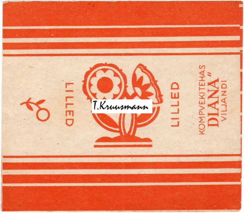 Diana_Viljandi_Lilled