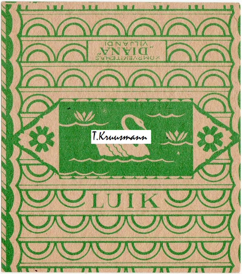 Diana_Viljandi_Luik_roheline