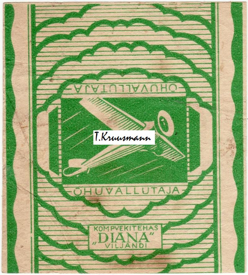 Diana_Viljandi_Õhuvallutaja_roheline