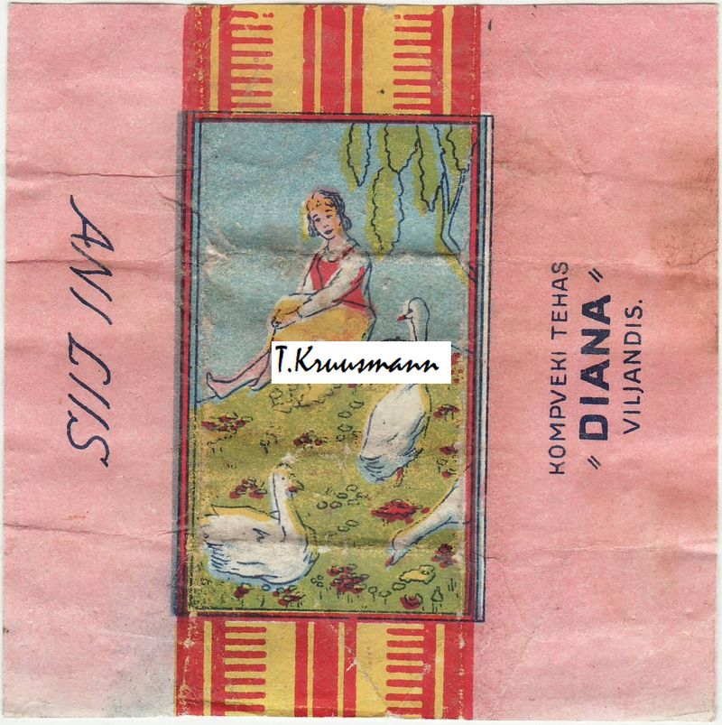 Diana_Viljandis_Ani_Liis