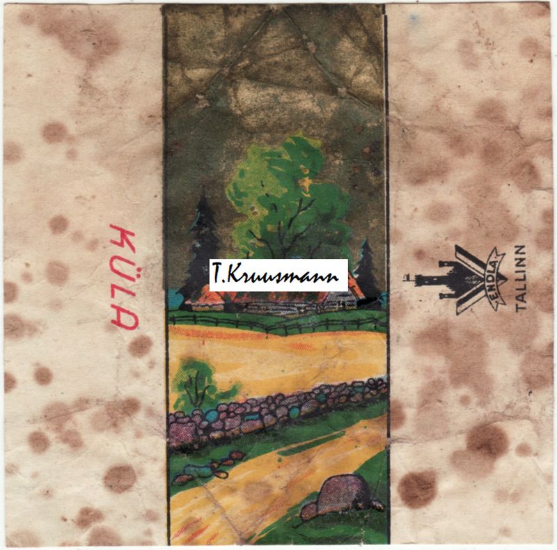 Endla_Tallinn_Küla_tume_taust