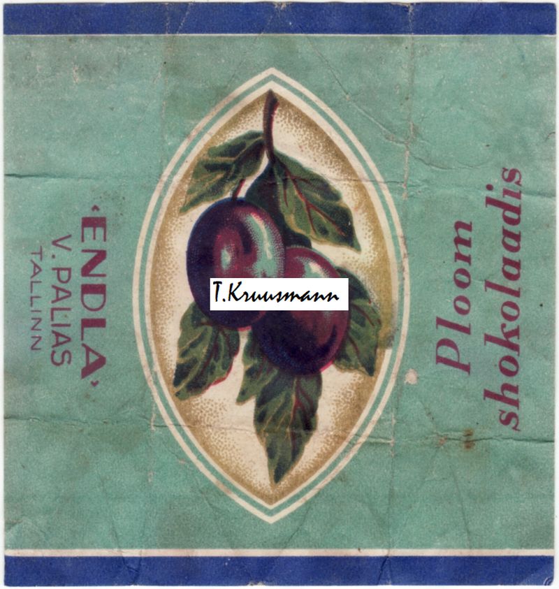 Endla_V_Palias_Tallinn_Ploom_shokolaadis_sinine_heledal