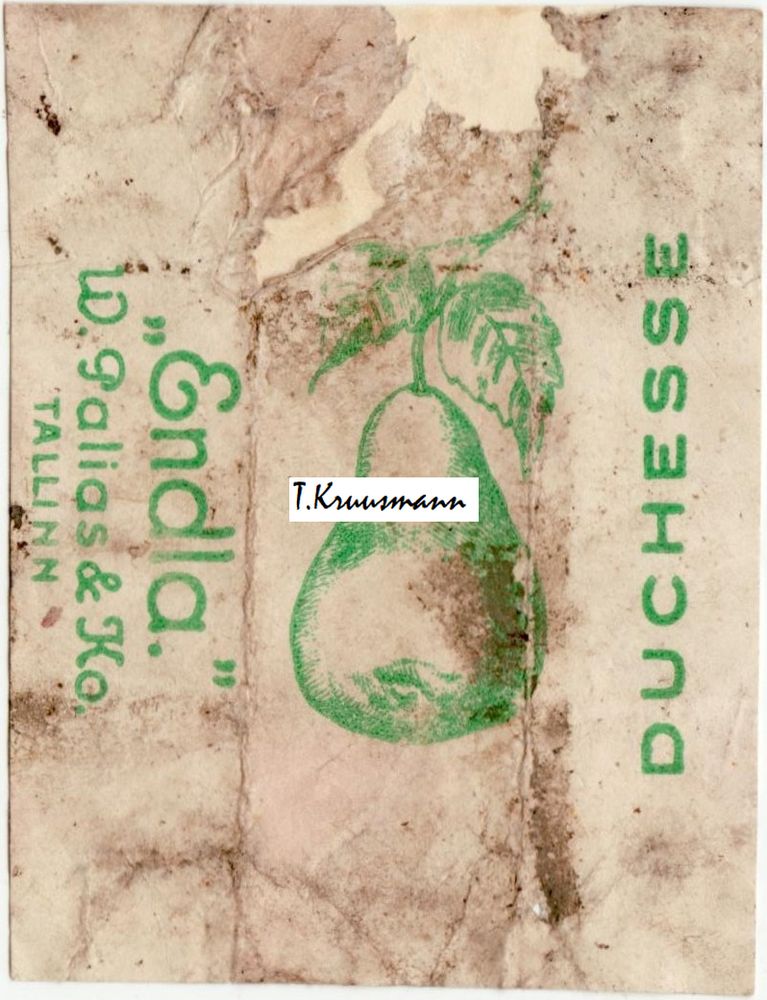 Endla_W_Palias_ja_Ko_Tallinn_Duchesse_heleroheline