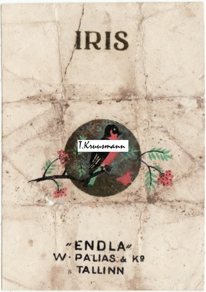 Endla_W_Palias_ja_Ko_Tallinn_Iris_kõhn_leevike