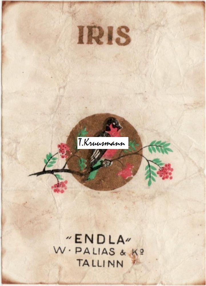 Endla_W_Palias_ja_Ko_Tallinn_Iris_paks_leevike_kuldne