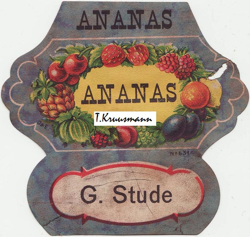 G_Stude_Ananas_No6318