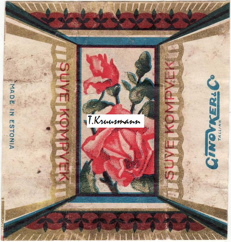 GinovkerCo_Tallinn_Suve_kompvek_roos_tume