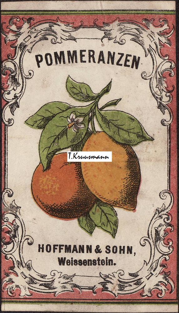 Hoffmann__Sohn_Weissenstein_Pommeranzen