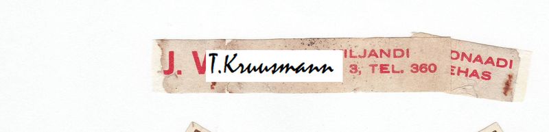 J.Viitak_Viljandi_panderoll