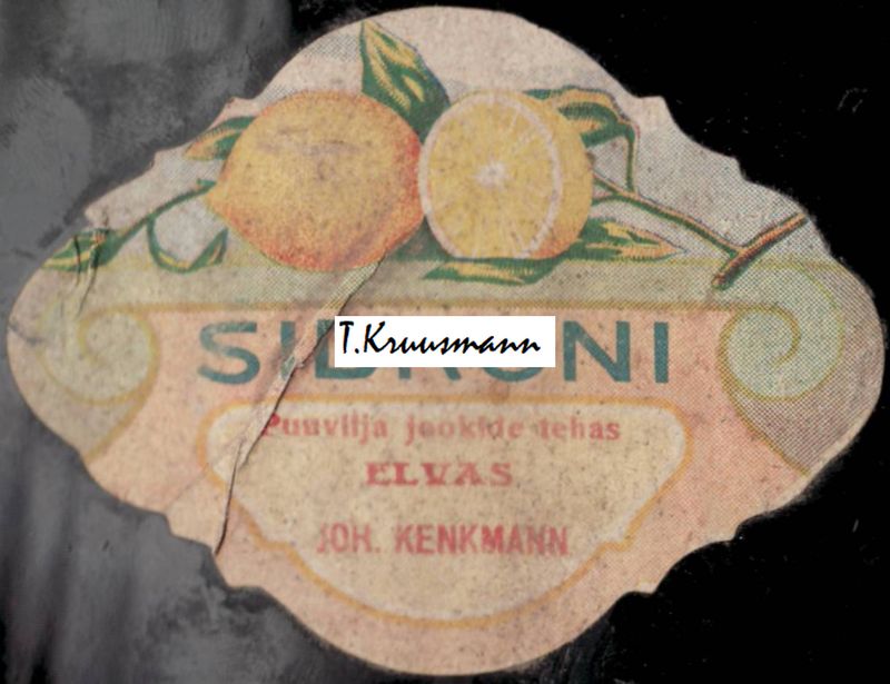 Joh_Kenkmann_Elvas_Sidroni_pudelil