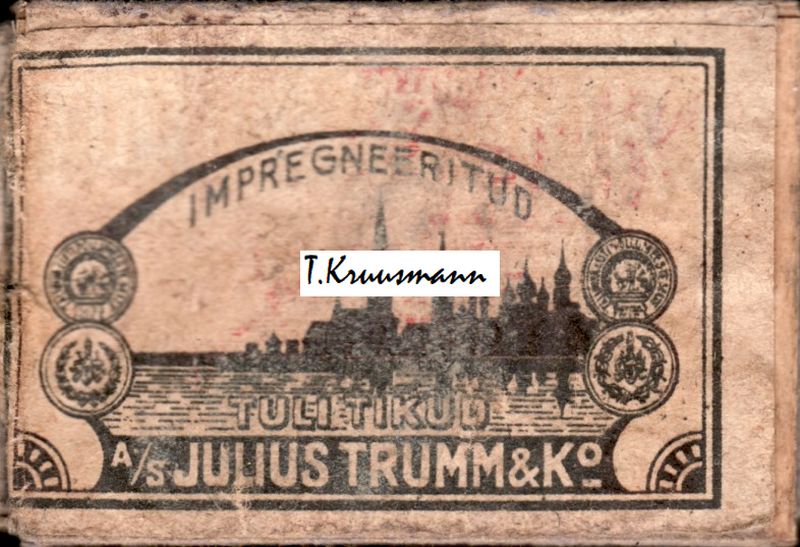 Julius_Trumm_Tallinna_panoraam_valge