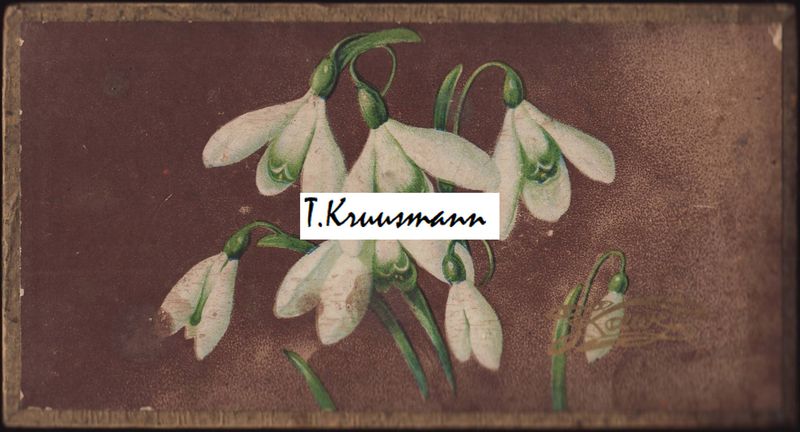 Kawe_lumekellukestega_kommikarp_82_tulemus