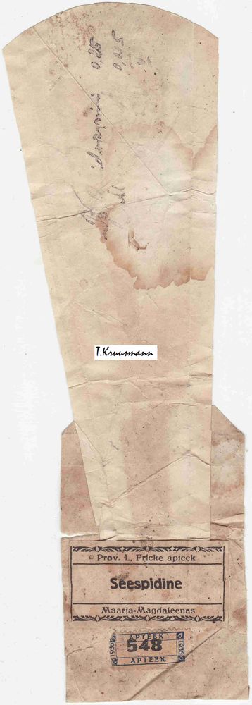 L_Fricke_Maarja-Magdaleenas_Seespidine