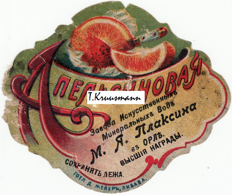 M_Ja_Plaksina_v_Orle_Apelsinovaja