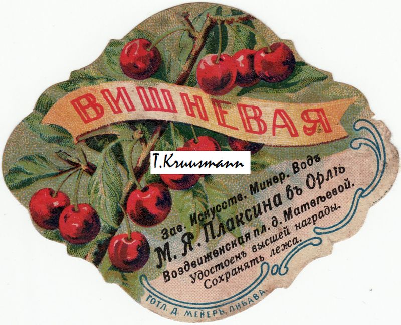 M_Ja_Plaksina_v_Orle_Višnevaja