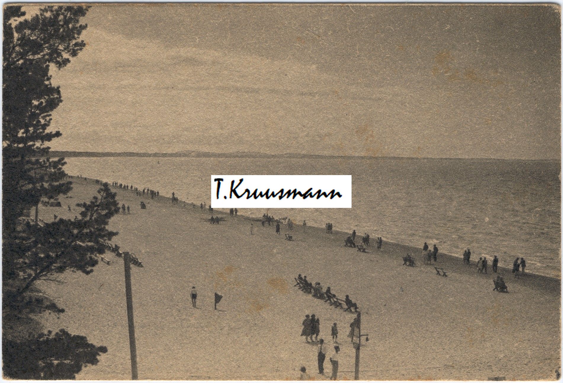 Mererand._Das_Strandbild