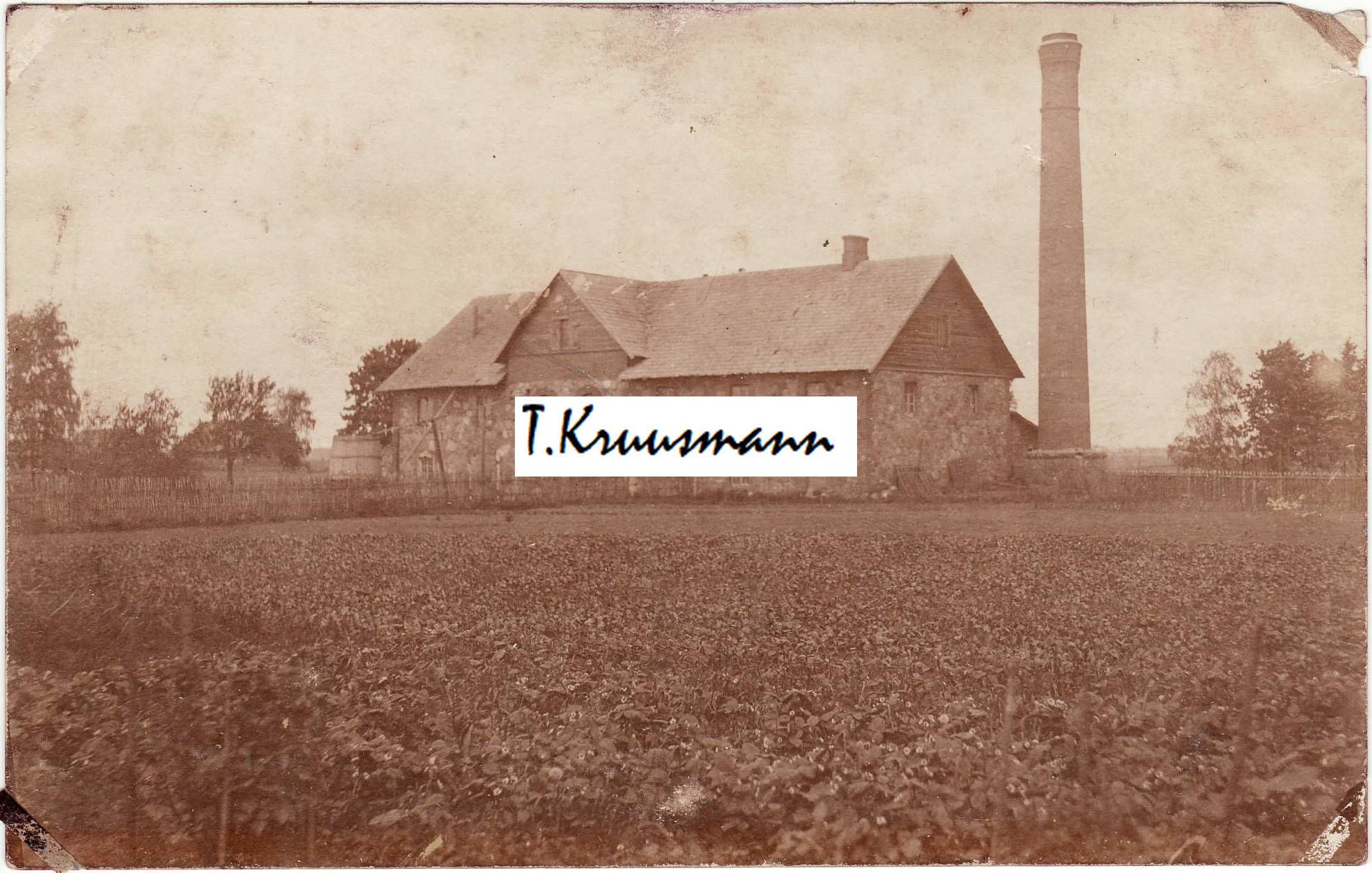 Pankjavitsa_viinavabrik