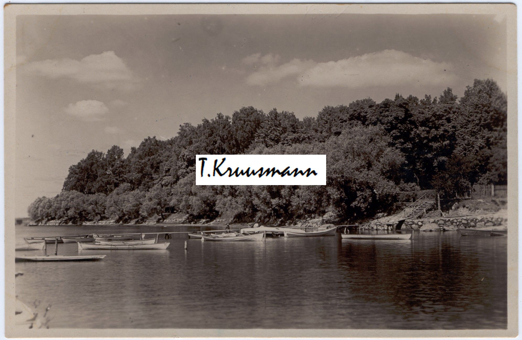 Park_Tammula_kaldal_2