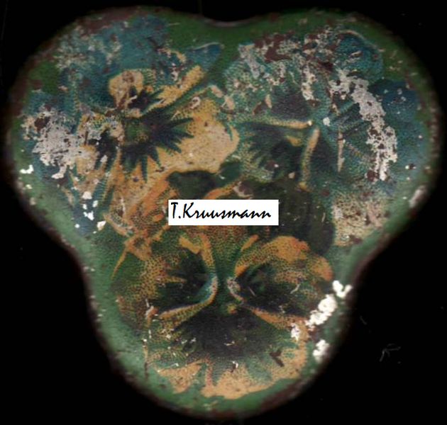 R_Klausson_Tallinn_võõrasemadega_plekkkarp_tulemus