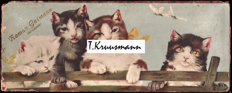 Roman_Gutmann_Tartu_kommikarp_tulemus