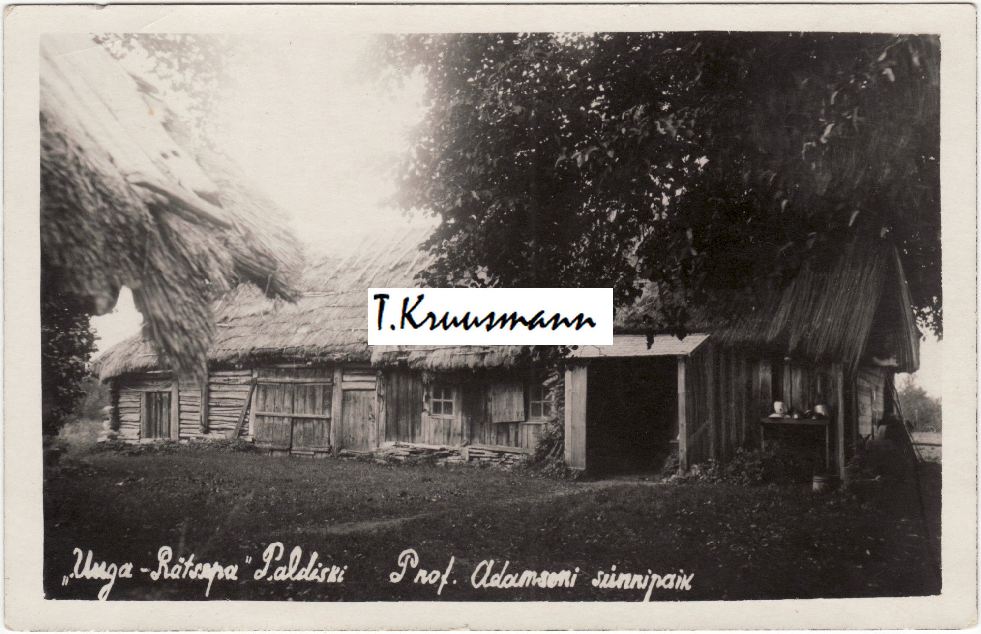 Uuga-Rätsepa_Prof._Adamsoni_sünnipaik