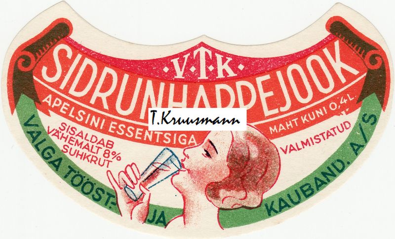 VTK_Sidrunhappejook_2