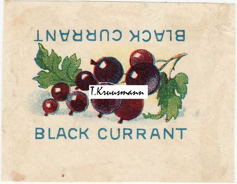 WWW_Black_Currant
