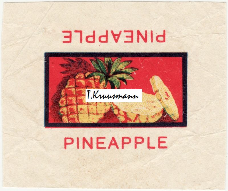 WWW_Pineapple_raamis
