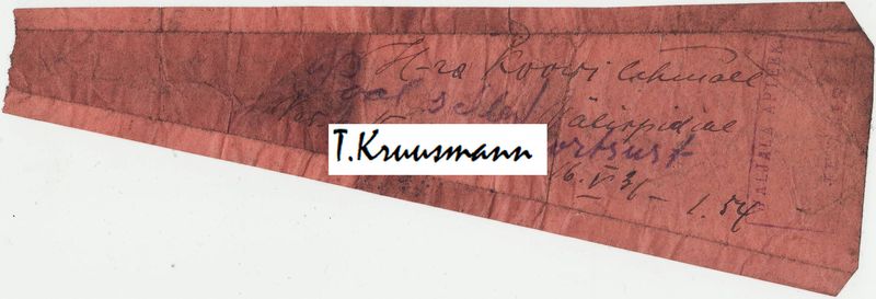 Waljala_A_Kolzschmidt_punane