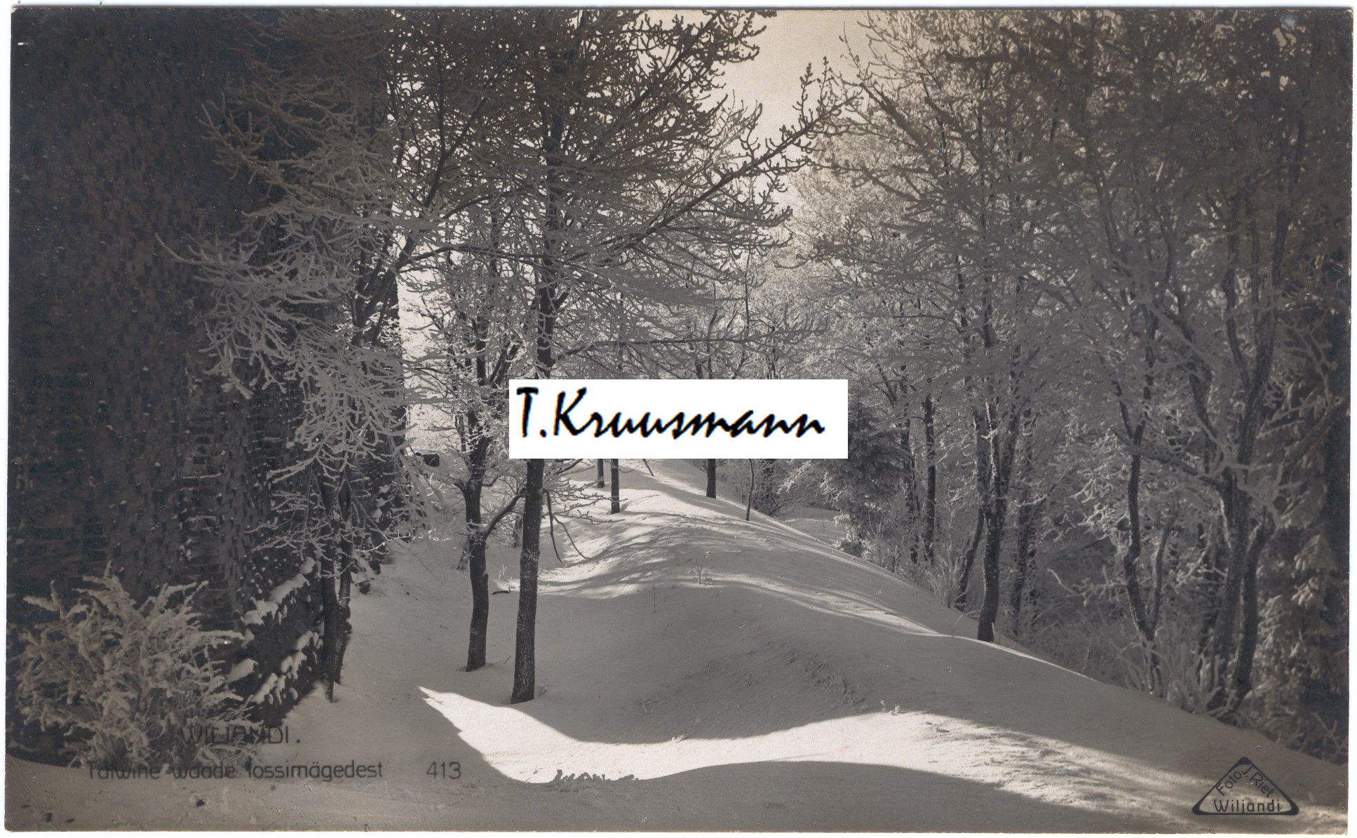 YYY_413_Talwine_waade_lossimägedest