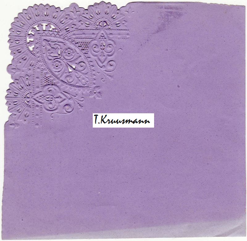 Y_3_kaart_lillakassinine