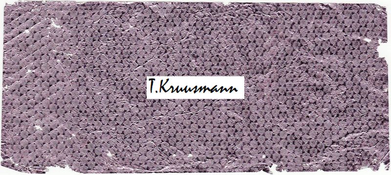 foolium_lilla_täpiline