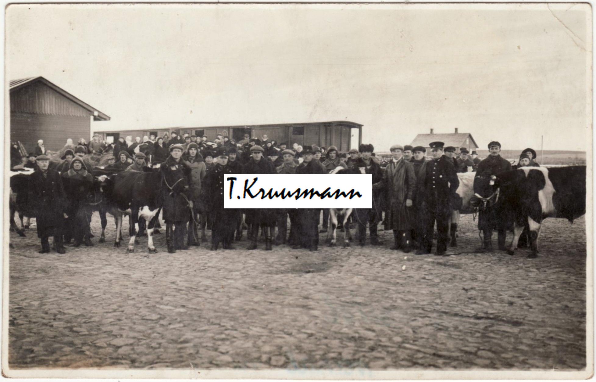 loomad_raudtee_jaamas